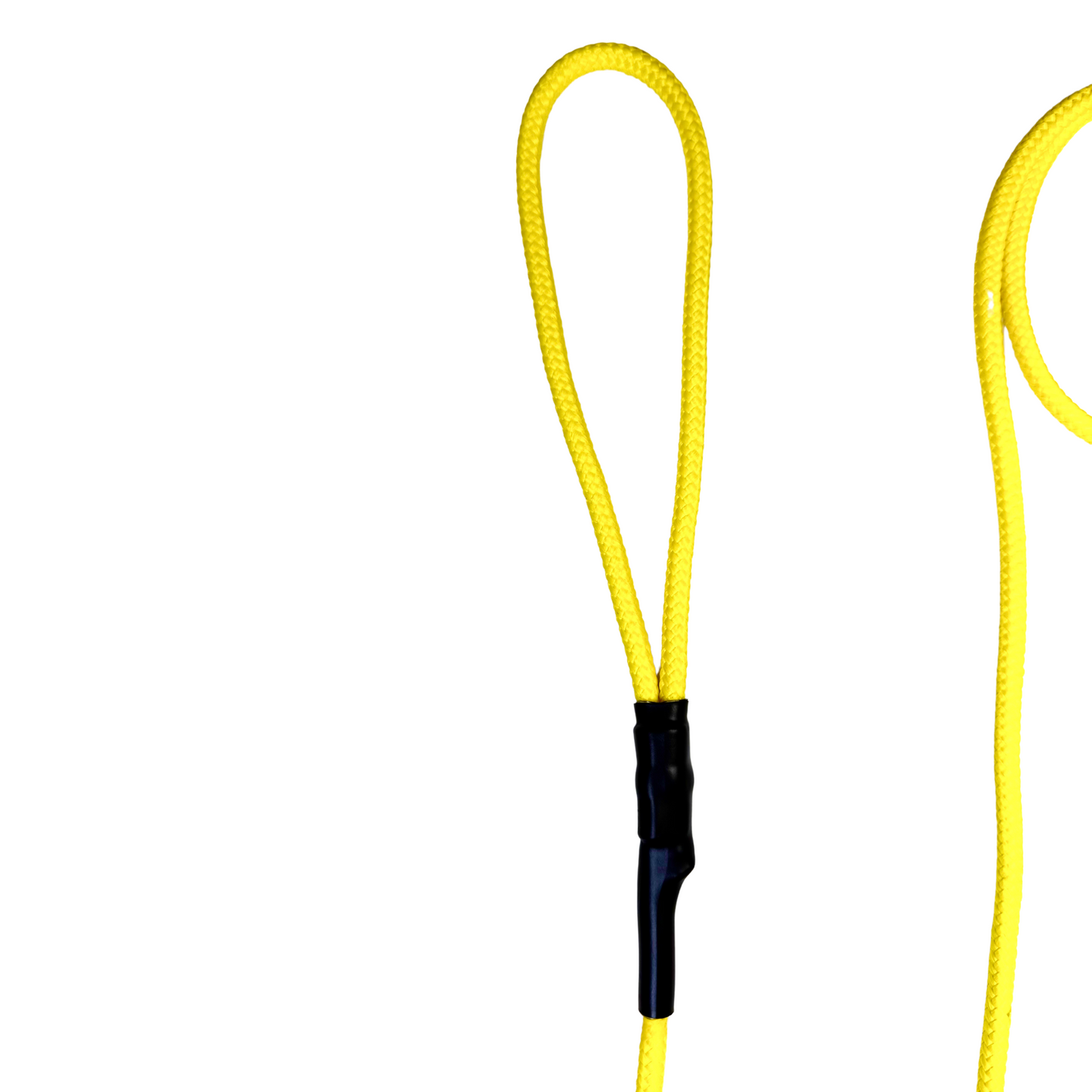 The Leader Slip Leash - 90's Summer Drop