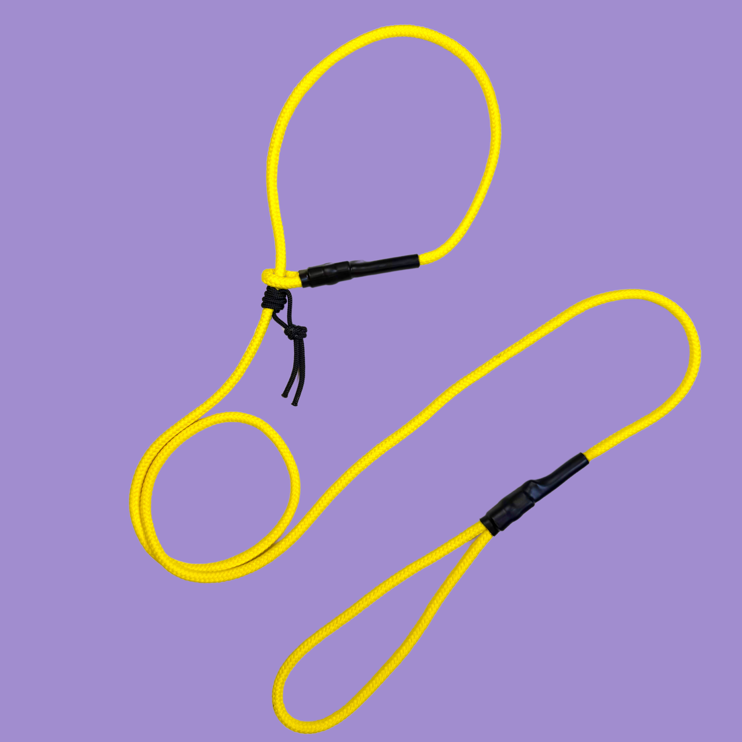 The Leader Slip Leash - 90's Summer Drop