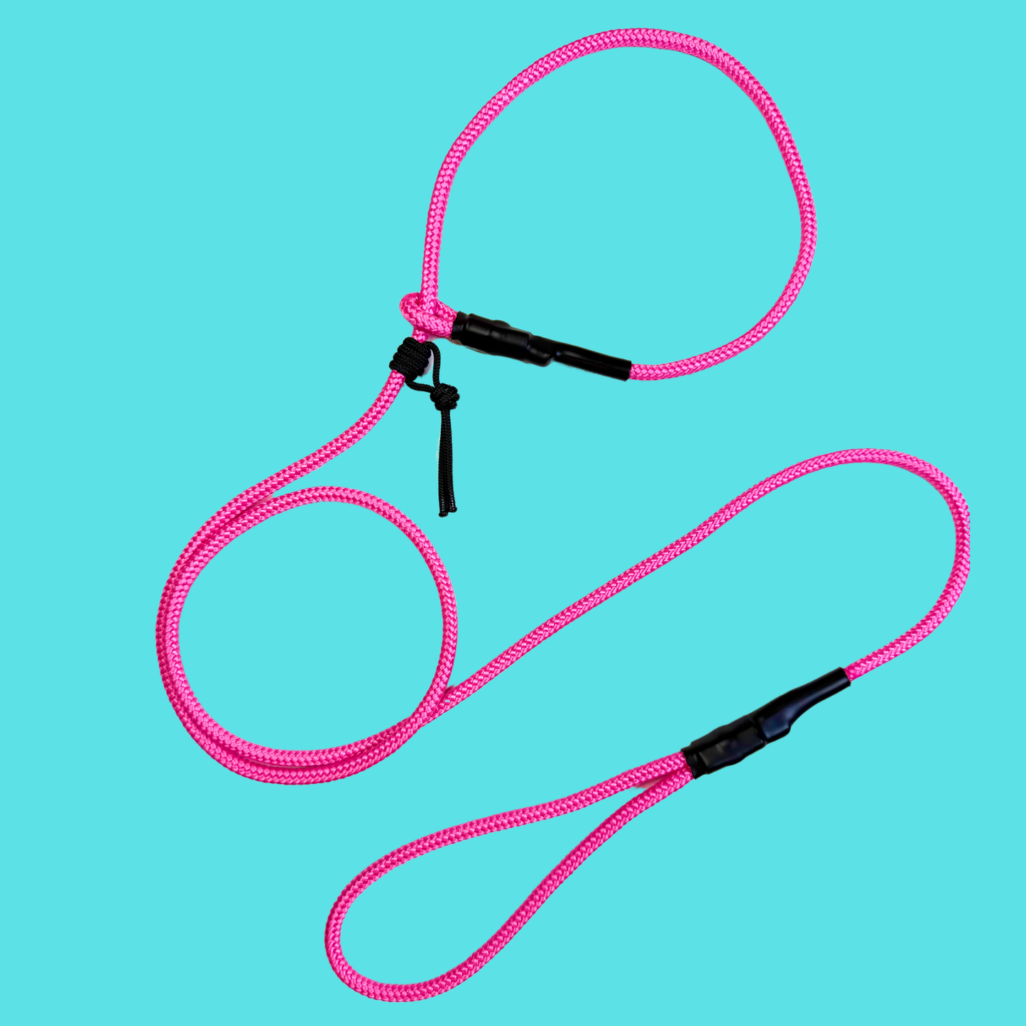 The Leader Slip Leash - 90's Summer Drop