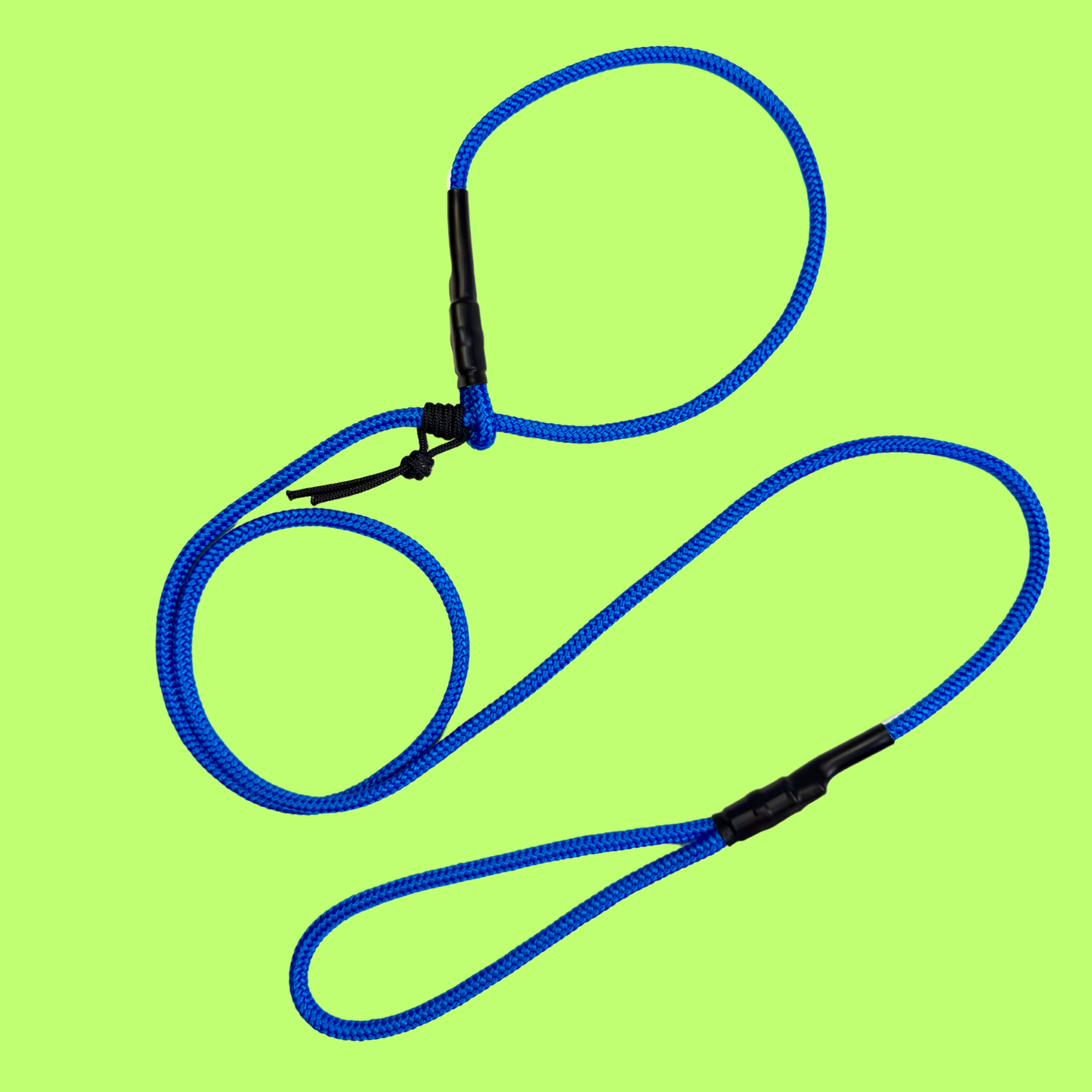 The Leader Slip Leash - 90's Summer Drop