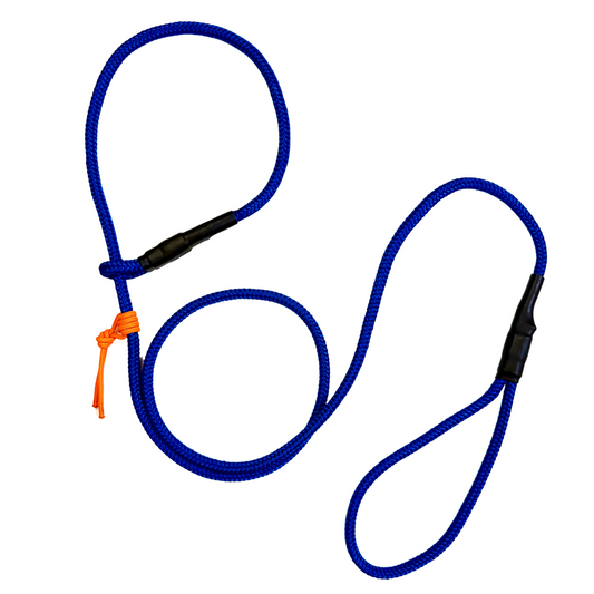 Blue Slip Leash