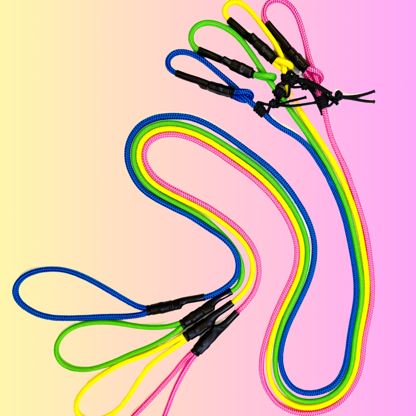 The Leader Slip Leash - 90's Summer Drop