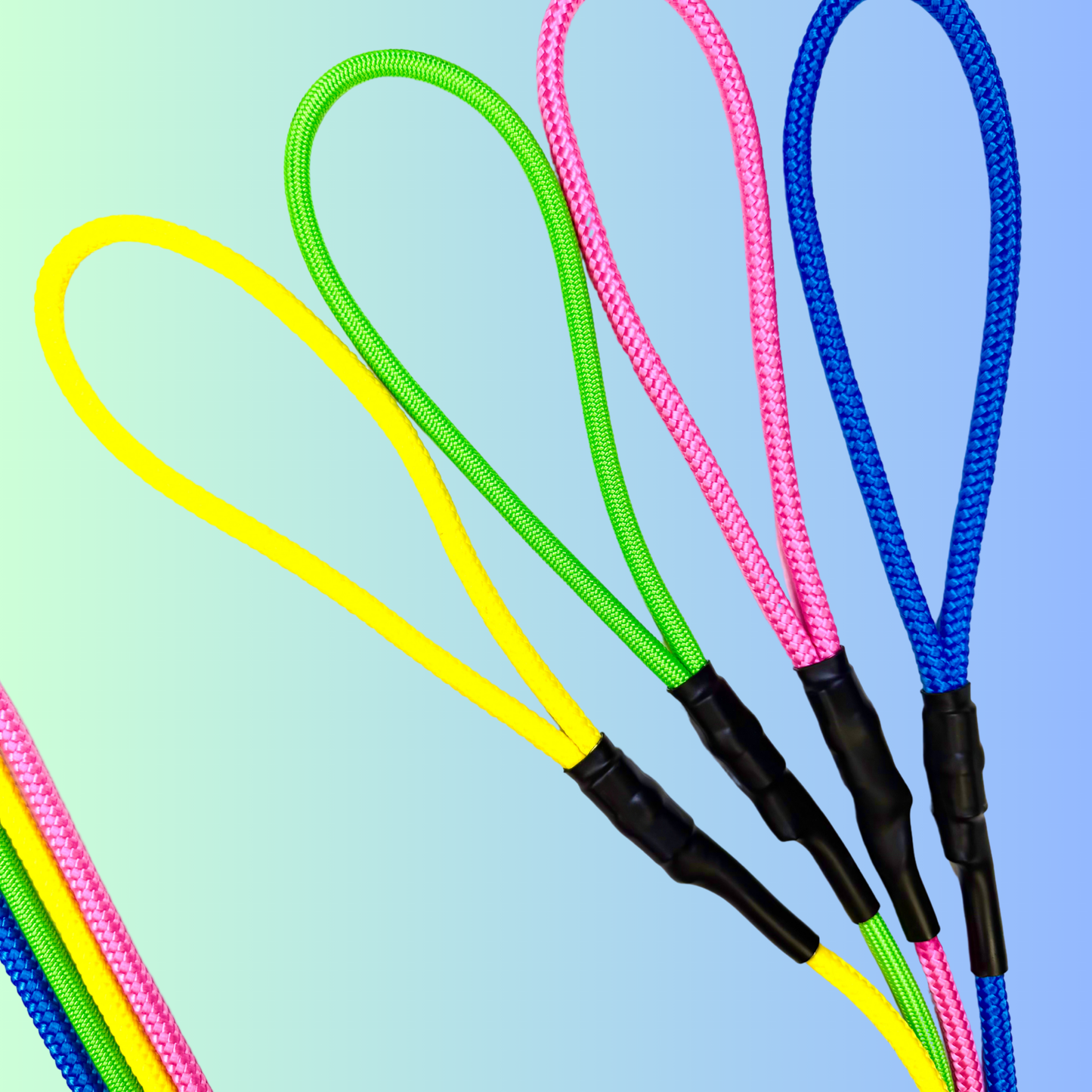 The Leader Slip Leash - 90's Summer Drop